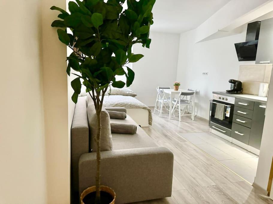 Stylish Schonbrunn Apartments - Free Underground Parking Viyana Dış mekan fotoğraf